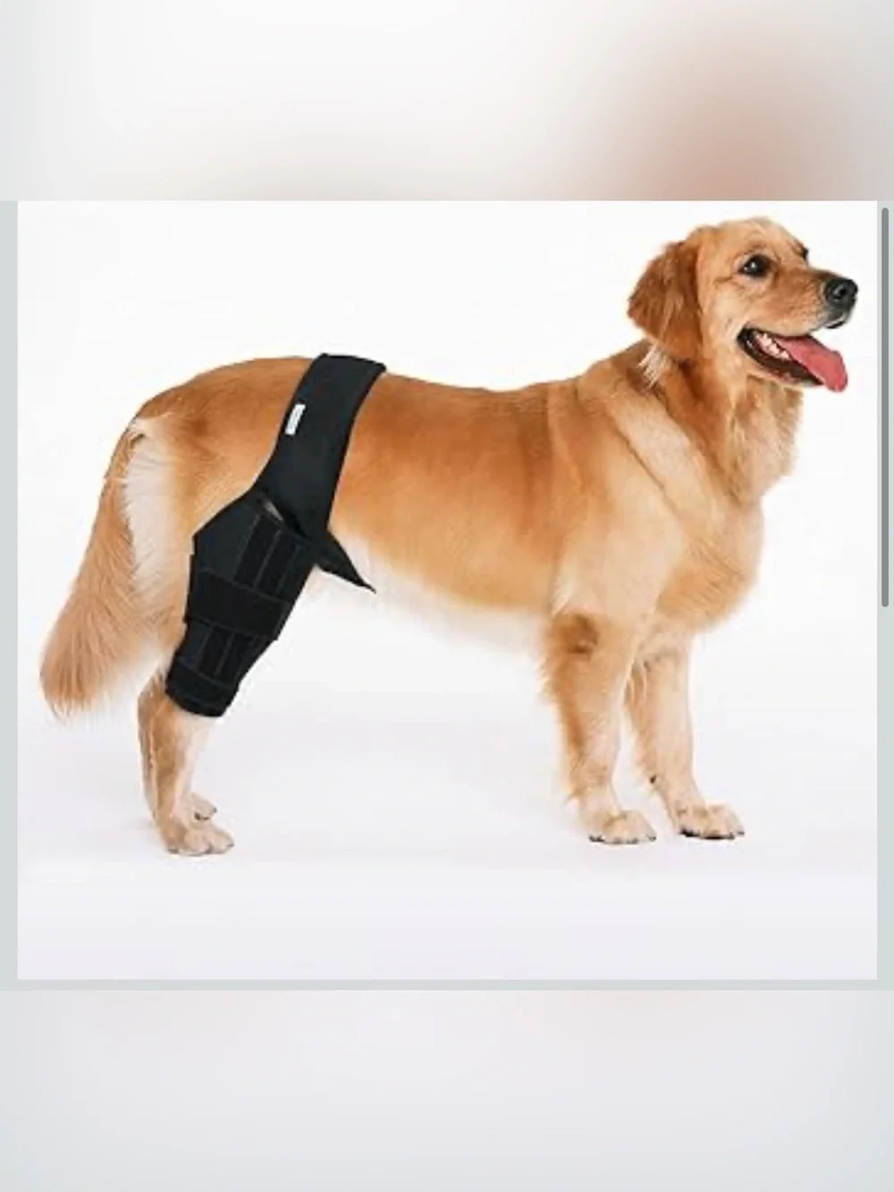 MerryMilo Dog Knee Brace - Canine Leg Support XXL 1074/bb6
